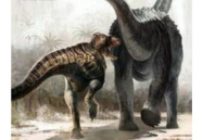 网红西龙,网红界的璀璨明星，揭秘他的爆红之路